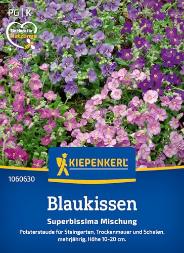 Kiepenkerl Blaukissensamen Superbissima Mischung 106063 von Kiepenkerl