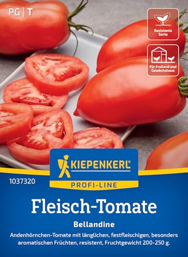 Kiepenkerl Fleisch-Tomatensamen Bellandine 103732 von Kiepenkerl