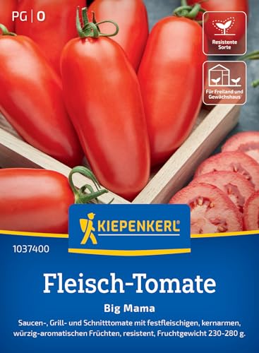 Kiepenkerl Fleisch-Tomatensamen Big Mama 10374 von Kiepenkerl