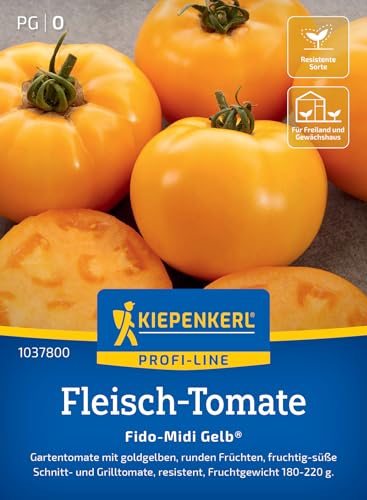 Kiepenkerl Fleisch-Tomatensamen Fido-Midi Gelb® 10378 von Kiepenkerl