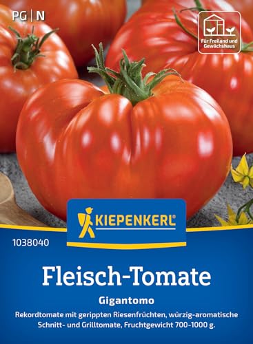 Kiepenkerl Fleisch-Tomatensamen Gigantomo 103804 von Kiepenkerl