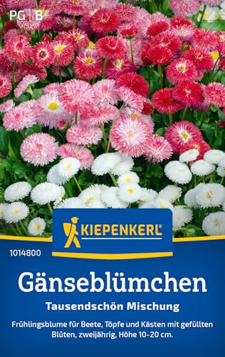 Kiepenkerl Gänseblümchensamen Tausendschön Mischung 10148 von Kiepenkerl