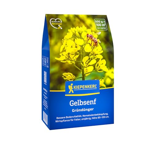 Kiepenkerl Gelbsenf, 0,5 kg 10809 von Kiepenkerl