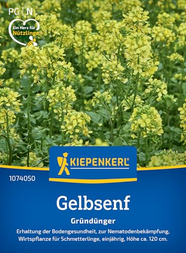 Kiepenkerl Gelbsenfsamen Weißsamiger Senf 107405 von Kiepenkerl