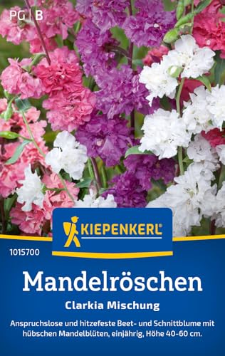 Kiepenkerl Mandelröschensamen Clarkia Mischung 10157 von Kiepenkerl