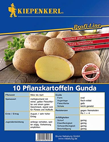 Kiepenkerl Pflanzkartoffeln 'Gunda' |mehlig | sehr frühe Sorte | 10er Set von Kiepenkerl