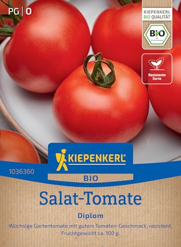 Kiepenkerl Salat-Tomatensamen Diplom 103636 von Kiepenkerl