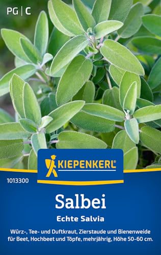 Kiepenkerl Salbeisamen Echte Salvia 10133 von Kiepenkerl