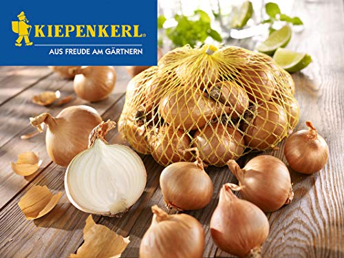 Kiepenkerl Schalotten »Golden Gourmet«, 500 g von Kiepenkerl