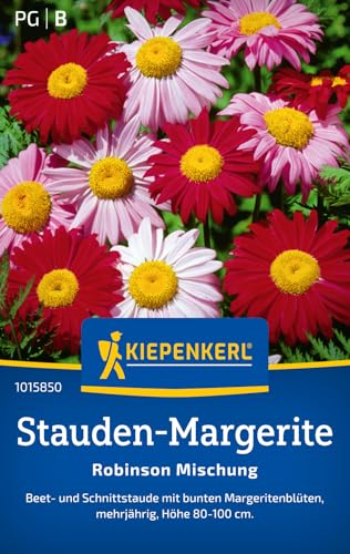 Kiepenkerl Stauden-Margeritensamen Robinson Mischung 101585 von Kiepenkerl