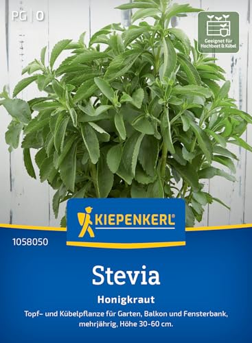 Kiepenkerl Steviasamen Honigkraut 105805 von Kiepenkerl