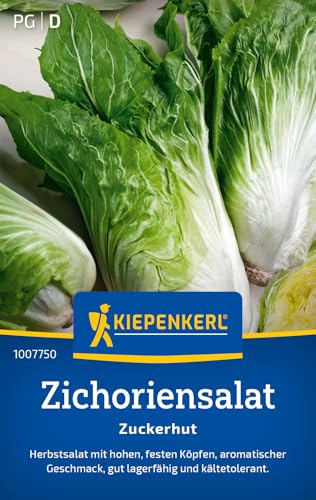 Kiepenkerl Zichoriensalatsamen Zuckerhut 100775 von Kiepenkerl