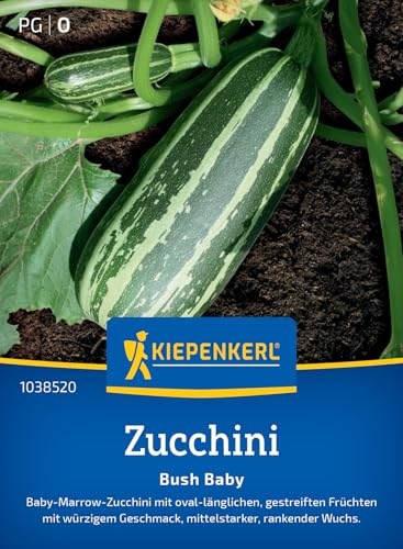 Kiepenkerl Zucchinisamen Bush Baby 103852 von Kiepenkerl