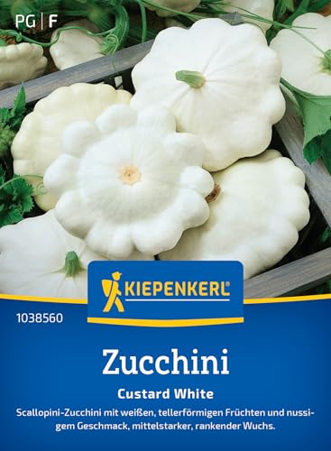 Kiepenkerl Zucchinisamen Custard White 103856 von Kiepenkerl