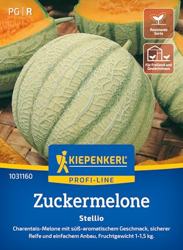 Kiepenkerl Zuckermelonensamen Stellio 103116 von Kiepenkerl