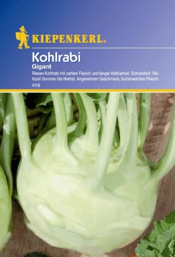 Kohlrabi Gigant weiss von Kiepenkerl