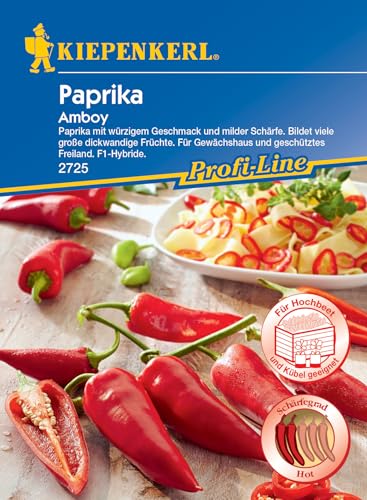 Paprikasamen - Paprika Amboy von Kiepenkerl von Kiepenkerl