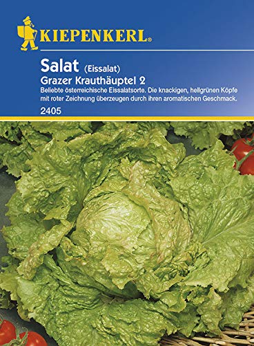 Salatsamen - Kopfsalat Grazer Krauthäuptel 2 von Kiepenkerl von Kiepenkerl