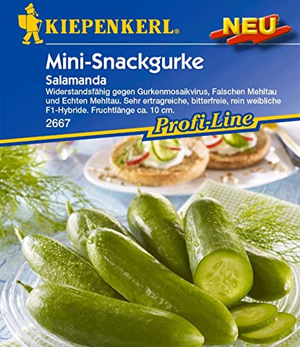 Snackgurke Salamanda F1 Gurkensamen 1 Portion Samen von Kiepenkerl