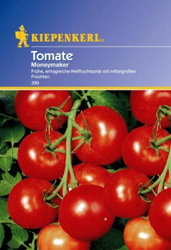 Tomaten Moneymaker von Kiepenkerl