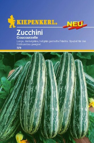 Zucchini Courcourcelle von Tripolis von Kiepenkerl