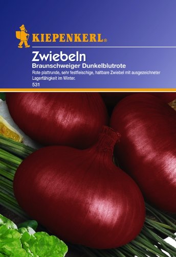 Zwiebeln, 'Braunschweiger''dunkelblutrot von Kiepenkerl