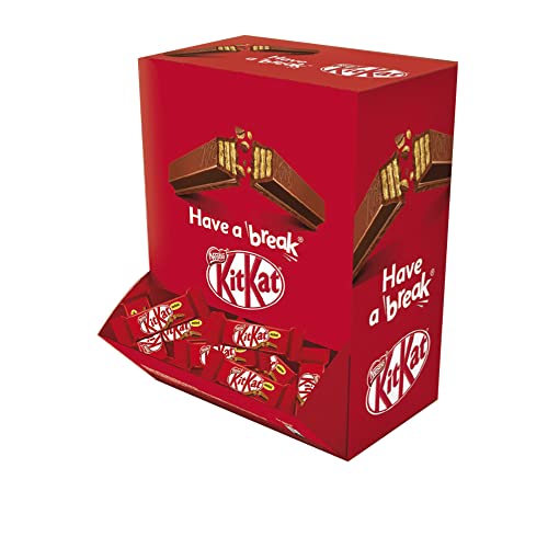 MINI-ANZEIGEGERT 1,3 KG von Kitkat