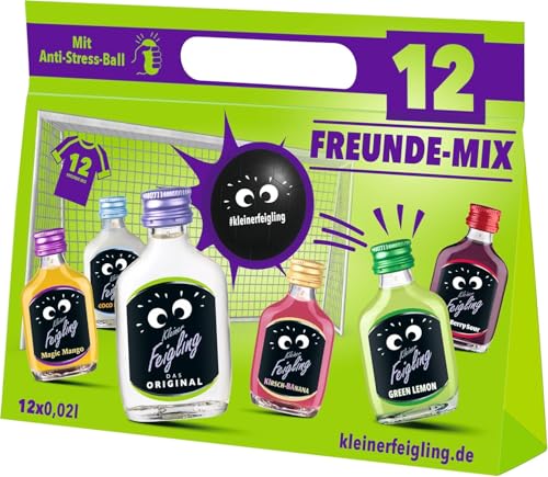 Kleiner Feigling Mix-Paket | 12FreundeMix | Fussball-EM | mit Anti-Stress-Ball | 12 x 20ml | Mit 6 Minis verschiedenen Sorten von Kleiner Feigling