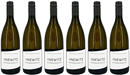 2023 Weingut Knewitz Sauvignon Blanc trocken VDP.GUTSWEIN (6x0,75l) von Knewitz