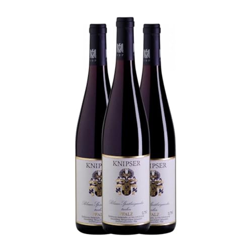 Knipser Blauer Spätburgunder Trocken Pfälz 75 cl Rotwein (Karton mit 3 Flaschen von 75 cl) von Knipser