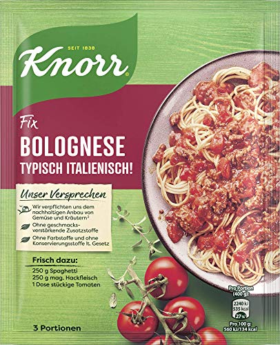 Knorr Fix Würzmischung Bolognese Typisch Italienisch! für ein leckeres Nudelgericht ohne geschmacksverstärkende Zusatzstoffe 42 g 1 Stück von Knorr