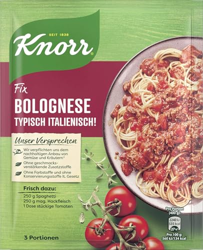 Knorr Fix Würzmischung Bolognese Typisch Italienisch! für ein leckeres Nudelgericht ohne geschmacksverstärkende Zusatzstoffe 42 g 1 Stück (Packung mit 10) von Knorr