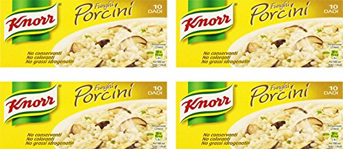 KnorrFunghi Porcini Bouillon-Würfel, Porcini Pilze, 10 Stück, je 10 g, 4 Stück von Knorr