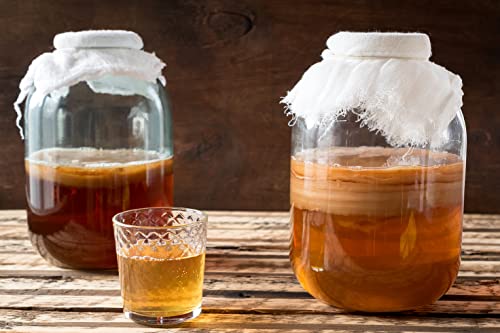 Kombuchaorganic® Wasserkristalle, Bio-Kefir-Körner und Kombucha Scoby zertifiziert, 3 Stück von Kombuchaorganic