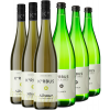 Korbus Wine 2022 Silvaner-Paket trocken von Korbus Wine