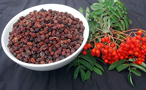 Krauterino24 - Ebereschenbeeren ganz, Menge:1000g von Krauterino24