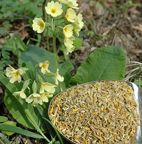 Krauterino24 - Schlüsselblumen m. Kelch geschnitten, Menge:500g von Krauterino24