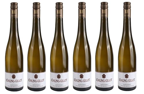 6x 0,75l - 2023er - Kühling-Gillot - QVINTERRA® - Grauer Burgunder - VDP.Gutswein - Qualitätswein Rheinhessen - Deutschland - Weißwein trocken von Kühling-Gillot