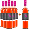 Kummer Mönchhof 2024 5+1 Rosé Cuvée Paket trocken von Kummer