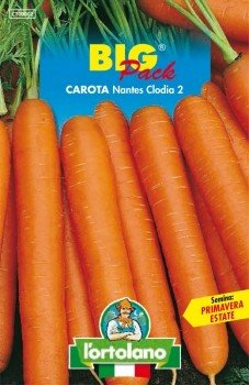 CAROTA NANTESE CLODIA 2 BIG PACK von L'ORTOLANO