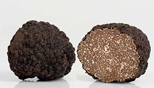 Frische Trüffel aus Italien trüffel - Tuber Aestivum Schwarze Trüffel .Melanosporum Schwarze Trüffel Frische Trüffel aus Italien - Sommertrüffel - Schwarze Trüffel frische schwarz Trüffel (25) von LA SPERANZA