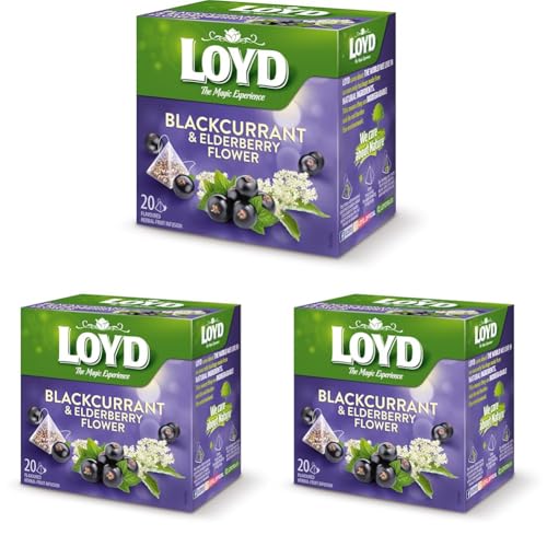 LOYD® Früchtetee Tee | 20 Teebeutel 40g | Geschmack: Schwarze Johannisbeere mit Holunderblüten | Aromatisiert Obst Frucht Früchte Fruit Tea | Hochwertigen Teeblättern Schwarzteebeutel Aufbrühen von LOYD