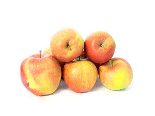 Äpfel Braeburn vom Bodensee süß-säuerlicher Apfel 1-10 KG Tafelapfel geeignet zum Backen und Kochen (5) von Lamera