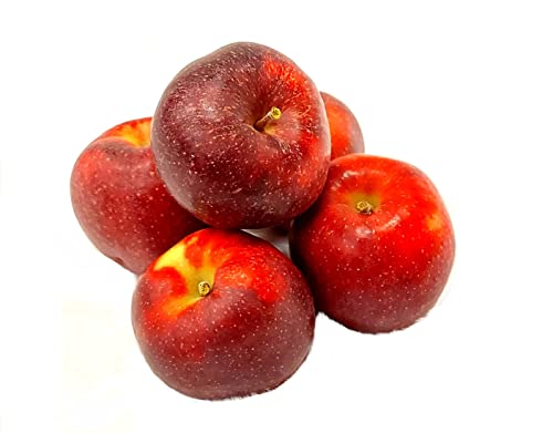 Äpfel Red Jonaprince Jonagold Price Red Prince aus Deutschland/Bodensee saftig süß-säuerlicher Tafelapfel 8 KG von Lamera