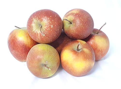 Äpfel Rubinette sehr ähnlich wie Cox Orange vom Bodensee süß- säuerlicher Apfel 1-10 KG (1) von Lamera