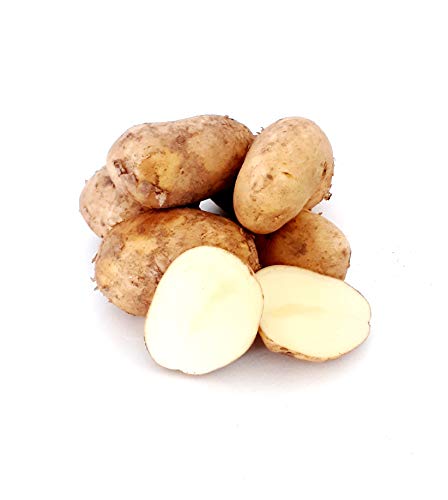 Kartoffel deutsche Speisekartoffeln halbmehlig neue Ernte 2024 Kartoffeln Berber vorwiegend festkochend 1-25 KG perfekt für Kartoffelklöse, Kartoffelsalat, Pellkartoffeln, Salzkartoffeln (1) von Lamera