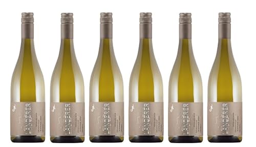 6x 0,75l - 2023er - Landerer - "Schwarze Erde" - Leiselheimer Chardonnay - Qualitätswein Baden - Deutschland - Weißwein trocken von Landerer