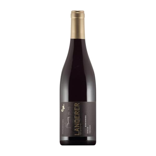 Landerer Oberrotweiler Kirchberg Syrah Trocken Baden 75 cl Rotwein von Landerer