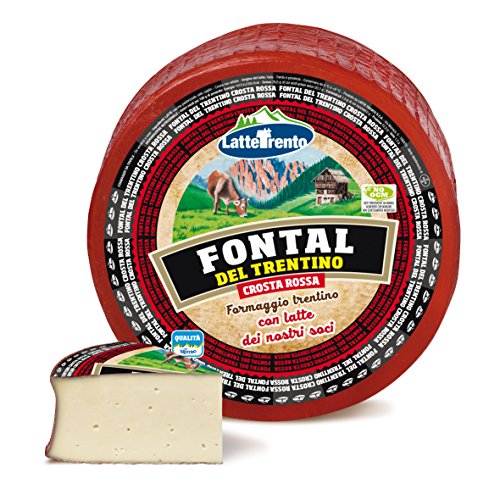 Formaggio Fontal del Trentino Crosta Rossa 1000 gr von Latte Trento