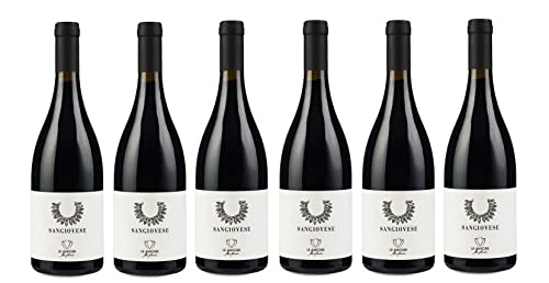 6x 0,75l - 2020er - Le Anfore di Elena Casadei - Sangiovese - Toscana I.G.P. - Italien - Rotwein trocken von Le Anfore di Elena Casadei